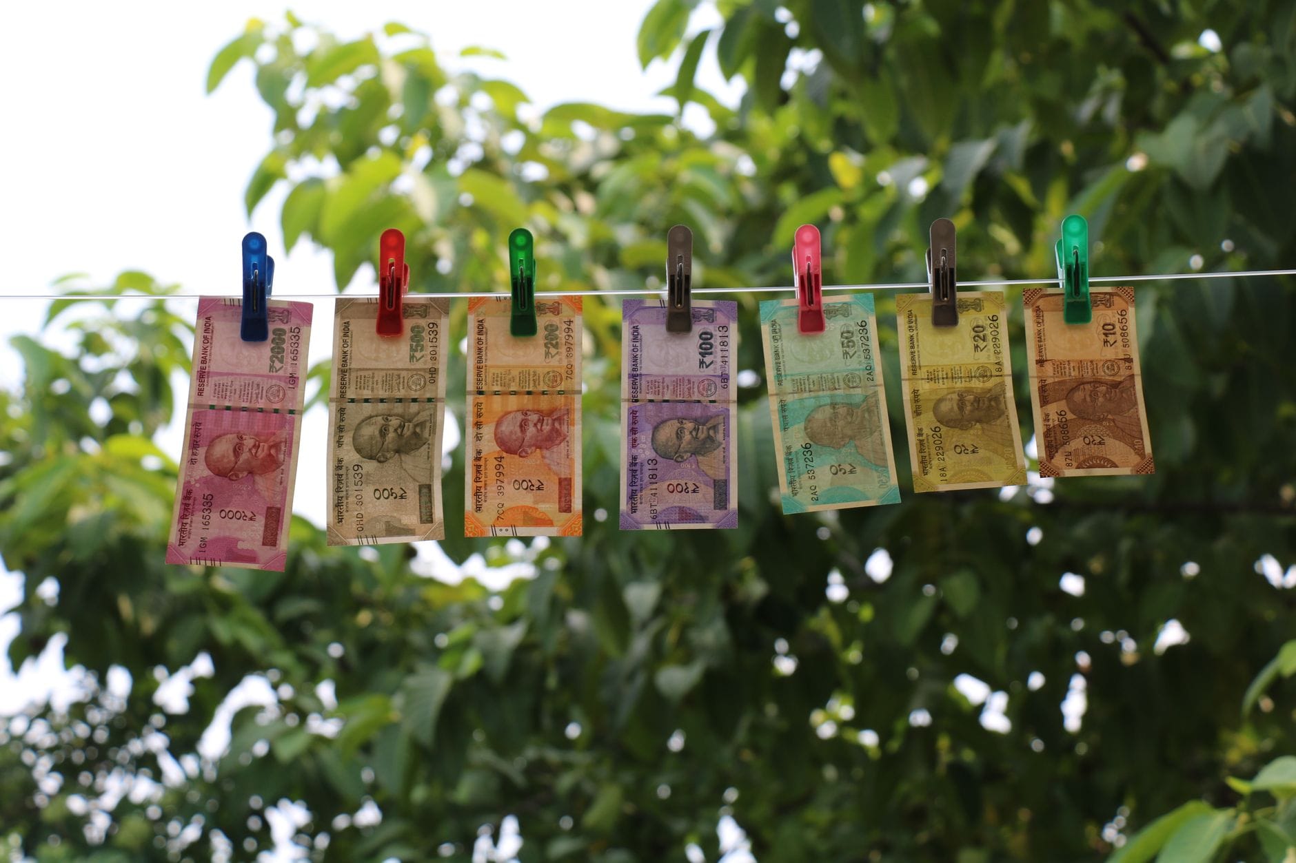 Indyjskie banknoty rupii przypięte do sznurka na tle zielonych liści