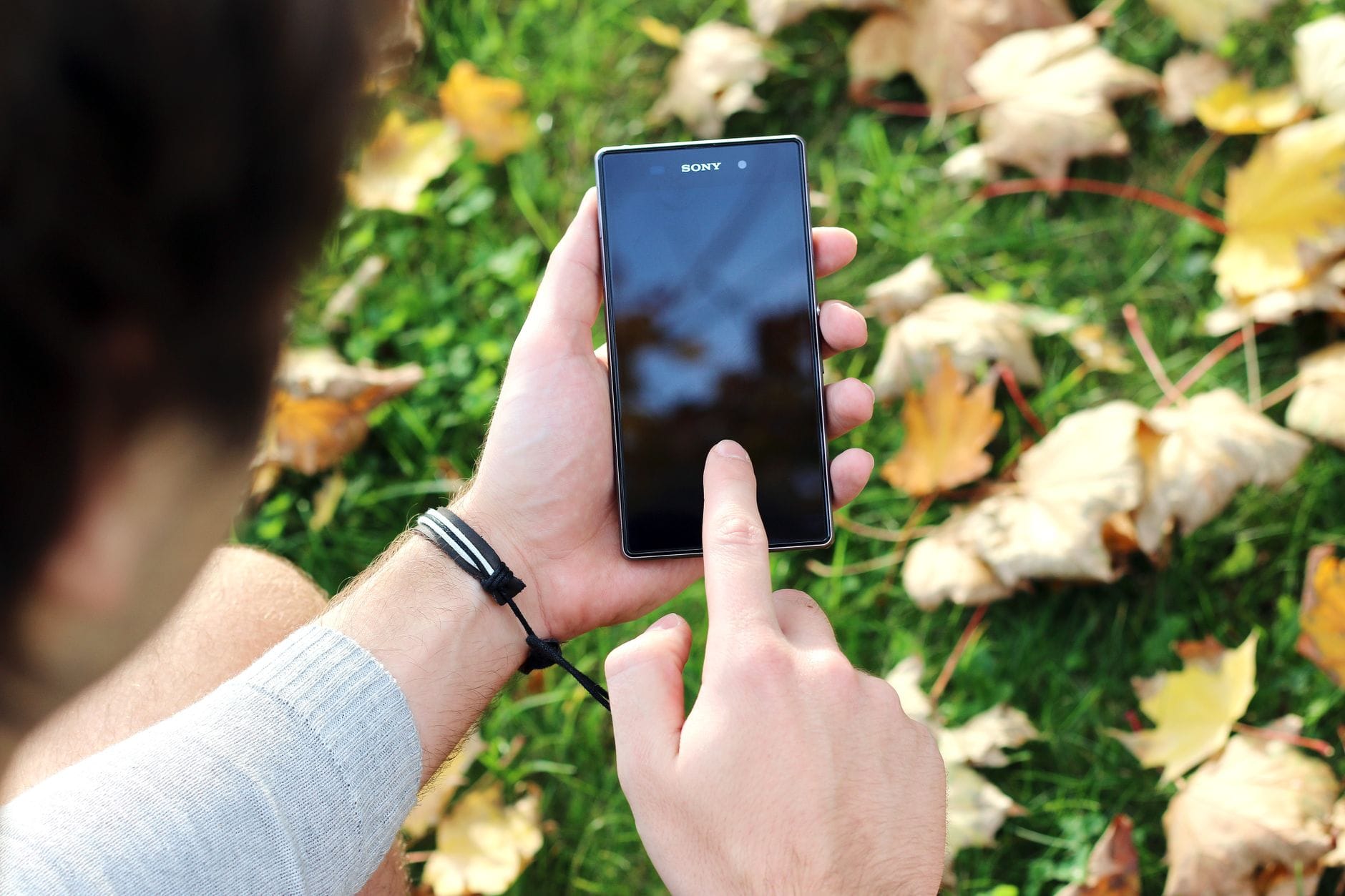 Dłoń trzymająca smartfon na trawie z jesiennymi liśćmi